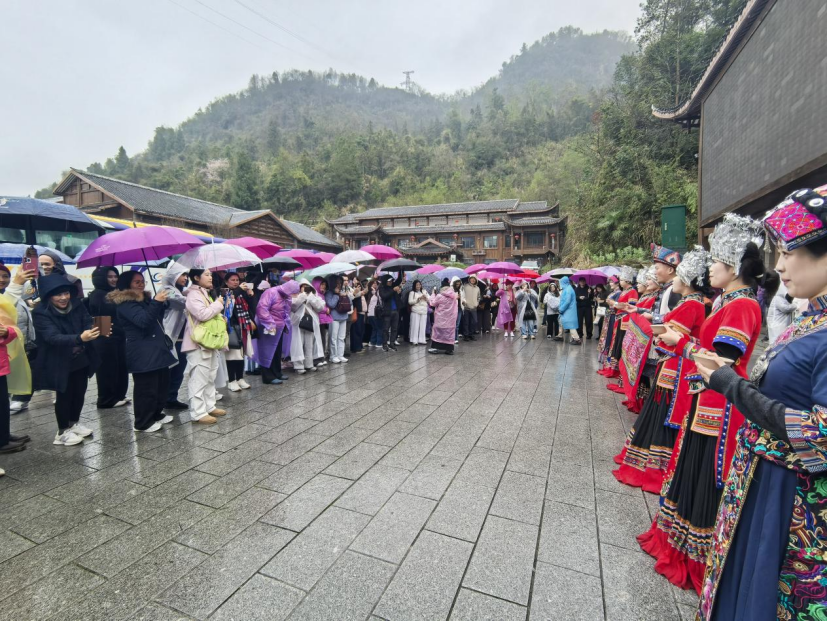 三八國(guó)際婦女節(jié)：寶峰湖盛情迎接菲律賓大型入境旅游團(tuán)